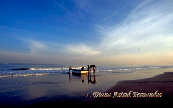 India-Fishermen-at-dawn-Goa